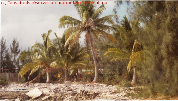 016 Environs cantonnement de la Légion. 06/1967