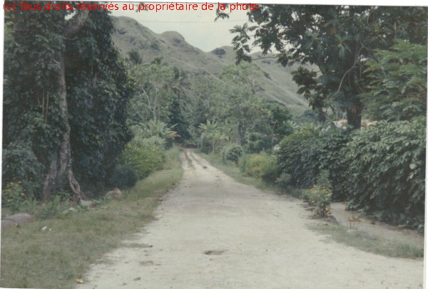 036 Rikitéa en 1967, l'unique rue du village