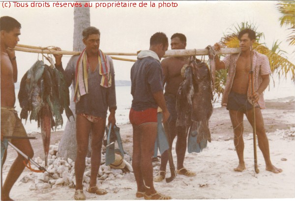 Gambier 1967, Totégégie Tahitiens 115, Maurice, Pahia, Yves