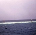 158 Récif dns le lagon de Hao.JPG