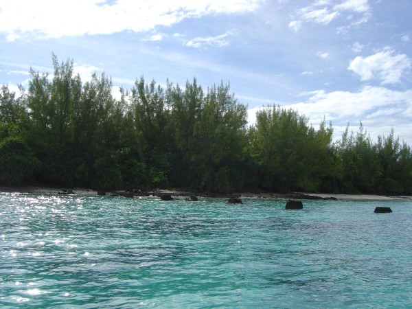 20080420 DSC04994