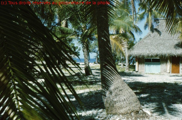 HAO 1967 (28)