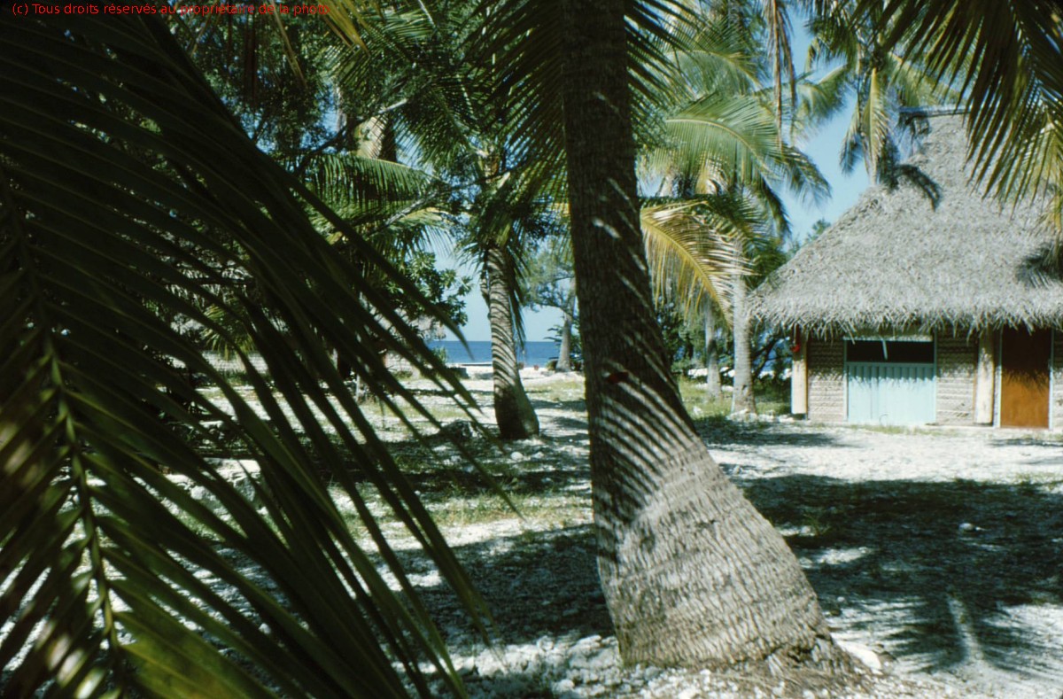 HAO 1967 (28)