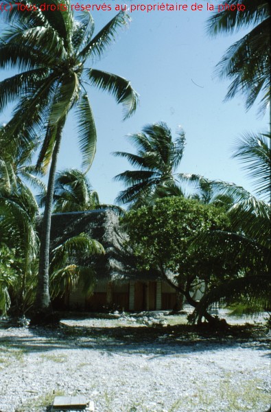HAO 1967 (29)