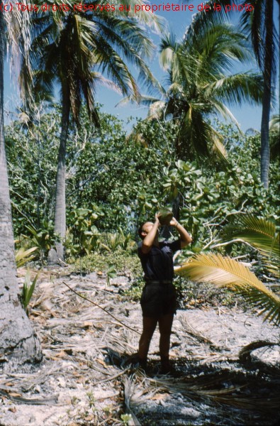 HAO 1967 (33)