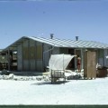 HAO 1967 (40)