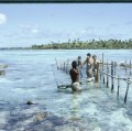 Rangiroa 1967 (2)