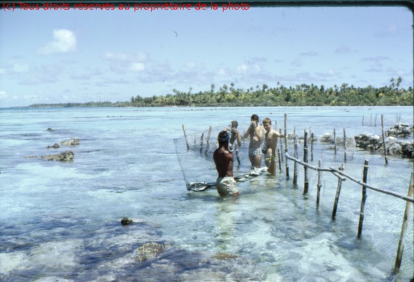 Rangiroa 1967 (2)