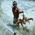 Rangiroa 1967 (5)