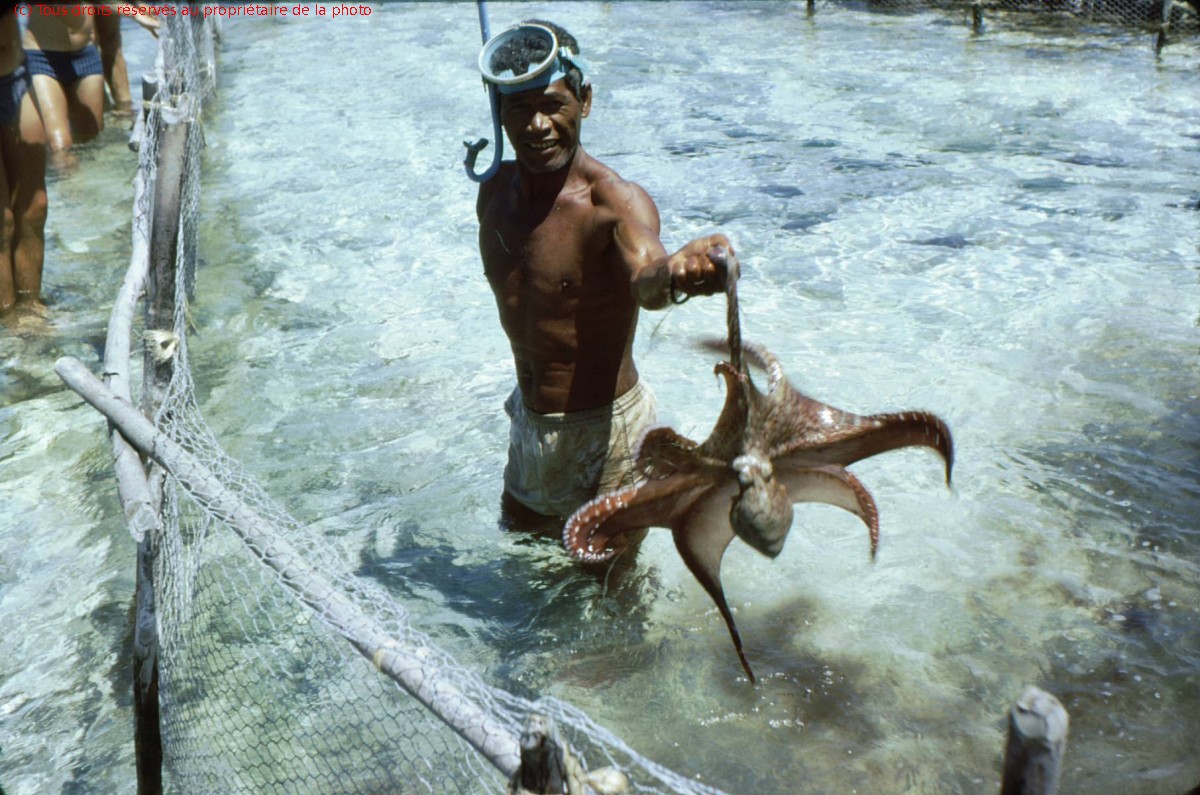 Rangiroa 1967 (5)
