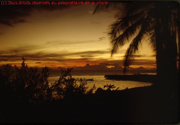 Rangiroa 1967 (10)
