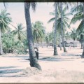 Mururoa 1967-68 (13)