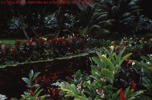 TAHITI 1967-68 (83)